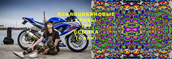 крисы Алзамай