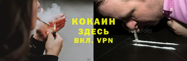 крисы Алзамай