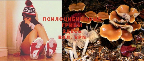 стафф Алексеевка