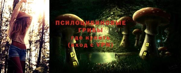 стафф Алексеевка