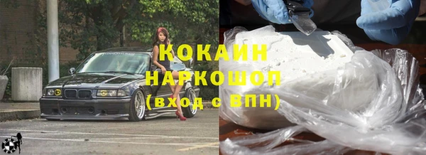 крисы Алзамай